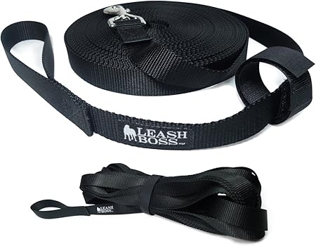 15 foot training leash