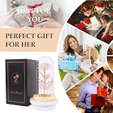 Beferr Eternal Rose Gift in Glass Dome Colorful LED Light Up Flower for Mom Wife view 8