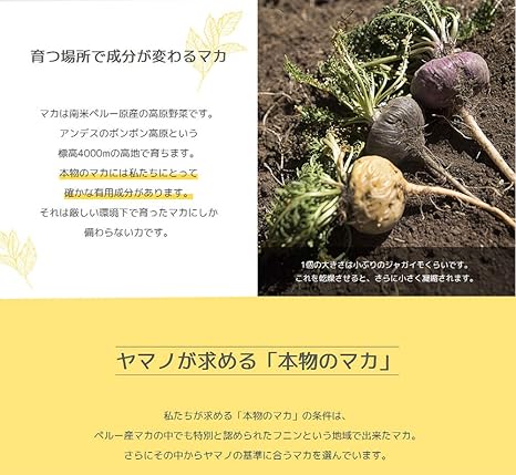 Amazon ふれあい生活館ヤマノ マカ Junsui ボトル入り 粒タイプ 約1ヶ月分 年の販売実績 無添加 オーガニック 凝固剤不使用 ふれあい生活館ヤマノ マカ