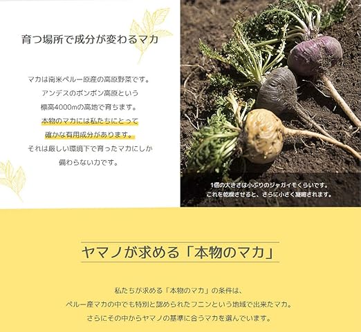 Amazon ふれあい生活館ヤマノ マカ Junsui ボトル入り 粒タイプ 約１ヶ月分 年の販売実績 無添加 オーガニック 凝固剤不使用 ふれあい生活館ヤマノ マカ