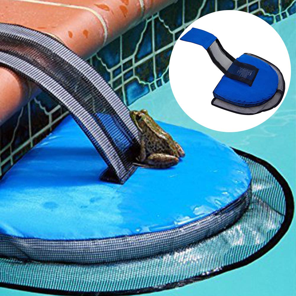Animal Saving Escape Ramp for Pool, Frog Pool Escape