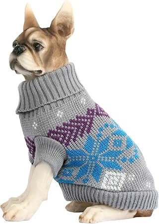 cat and dog accessories