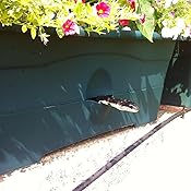 Amazon.com : Garden Patch GP01GR-06 Grow Box : Planter Boxes : Garden