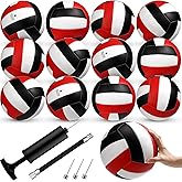 Wettarn Official Size 5 Volleyballs Bulk Soft Recreational Volleyballs with Pump Regulation Size for Beginner Indoor Outdoor Beach Gym Pool Sand Sport