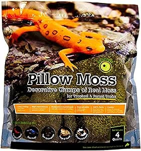 Galápagos (05234) Pillow Moss, Clumps of Real Moss, Natural, 4QT