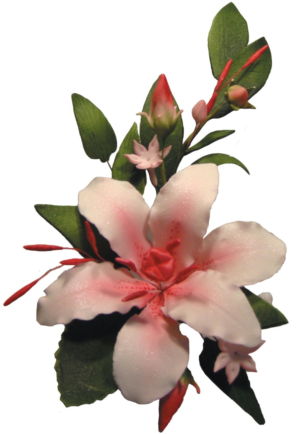 Cuisineonly Moyen Bouquet Fleur De Lys Rose L Unite