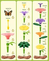 Funsland Flower Garden Building Toys 183 PCS STEM Educational Set view 4