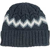 Coal Headwear, Meadows Beanie
