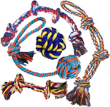 extra large dog ball