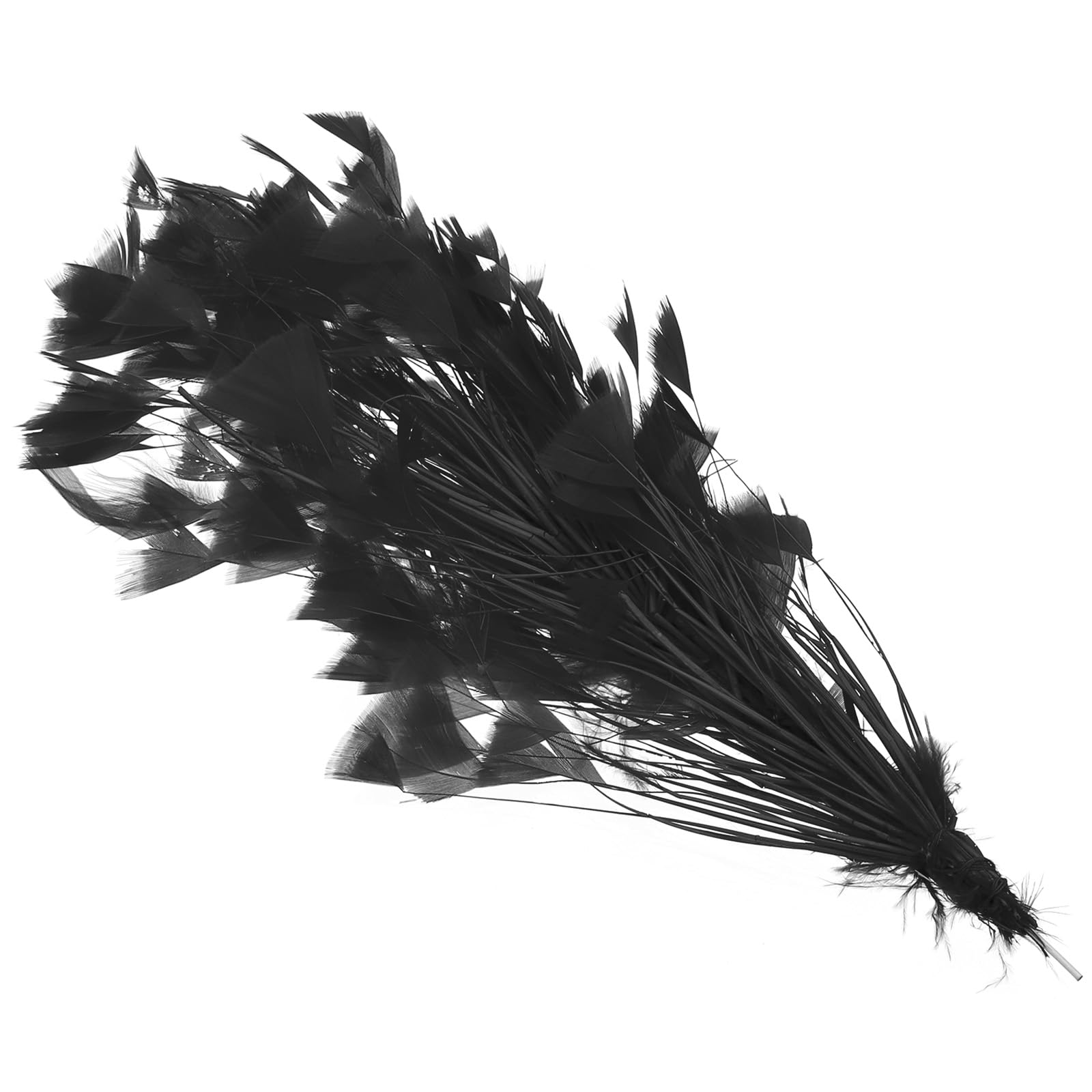 PATIKIL 10-12 Inch Turkey Feathers, 1 Set Fluffy Bulk Natural Feathers for Crafts Carnival Handwork Clothing Costumes Wedding Party, Black