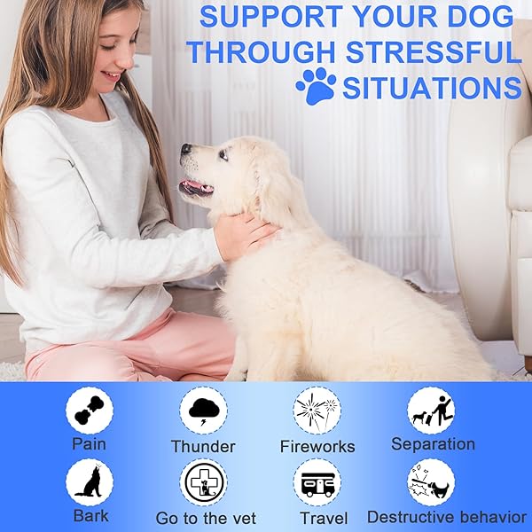 COLEAZE DOG CALMING CHEWS, HEMP CALMING CHEWS FOR DOGS – PURE NATURAL INGREDIENTS CALMING TREATS, AID WITH SEPARATION BARKING, VET VISITS, THUNDERSTORMS, 90 COUNT CHICKEN FLAVOR, BROWN