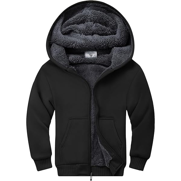 Kids Travel Hollister Iconic Sherpa Lined Hoodie In Red For Men