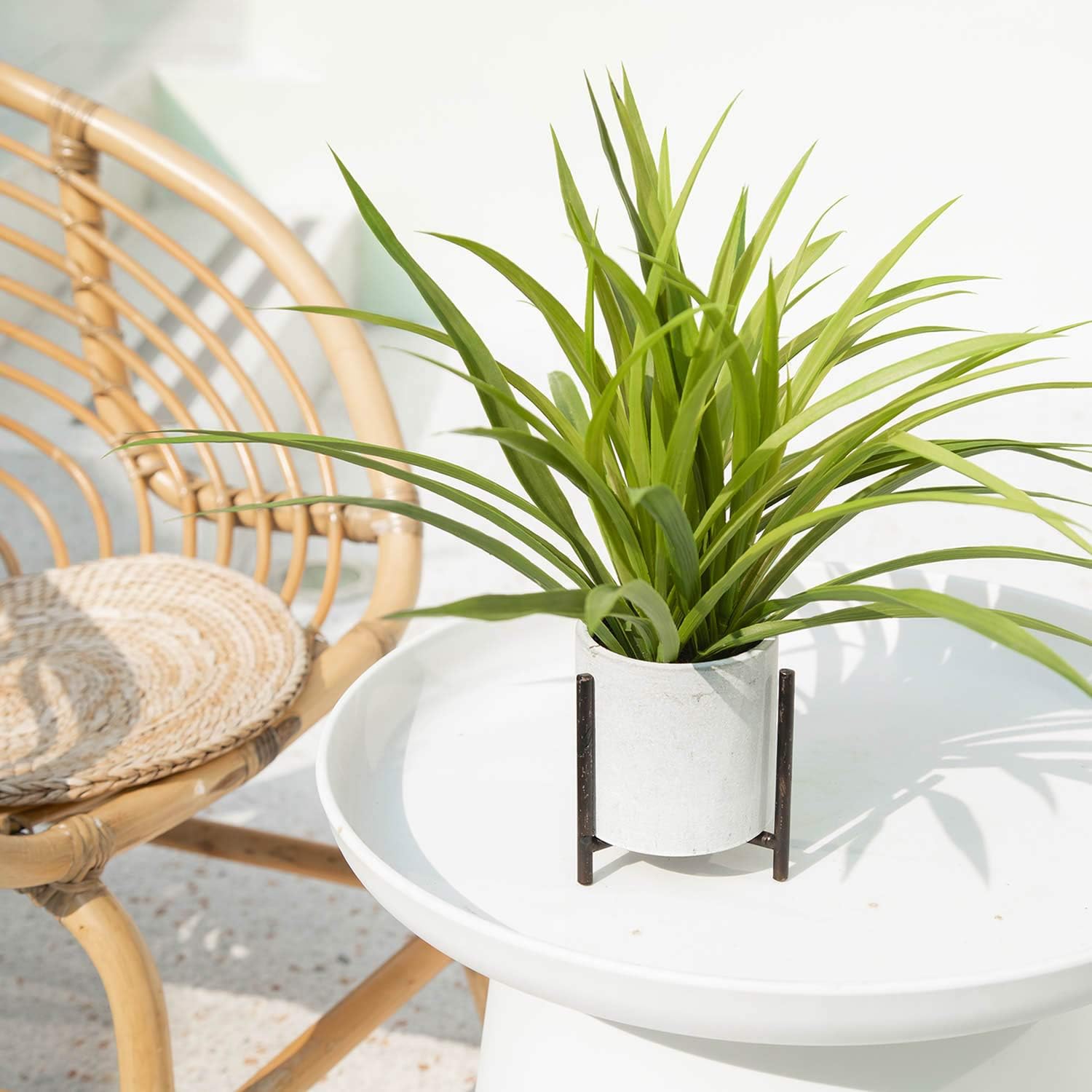 Velener Artificial Potted Long Leaf Plant with Metal Stand for Home Decor (Orchid Leaf) -
