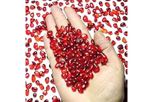 SEEKUP 1 Lb (460 g) Red Sea Glass Stones Irregular Rainbow Glass Pebble Decorative Rock Quartz Tumbled Gemstone Chips for Aquarium Decoration/Vase Filler/Jewelry Making/Handwork Craft/Gems Display