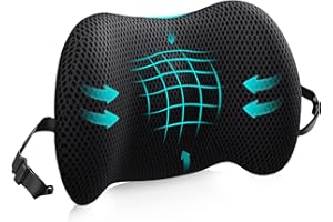 BYMECOST Lumbar Support Pillow for Office Chair, Car Lumbar Pillow Lower Back Pain Relief, Memory Foam Back Cushion with 4D Mesh Cover and Adjustable Straps, Ergonomic Chair Back Pillow for Car,Bed, Gaming