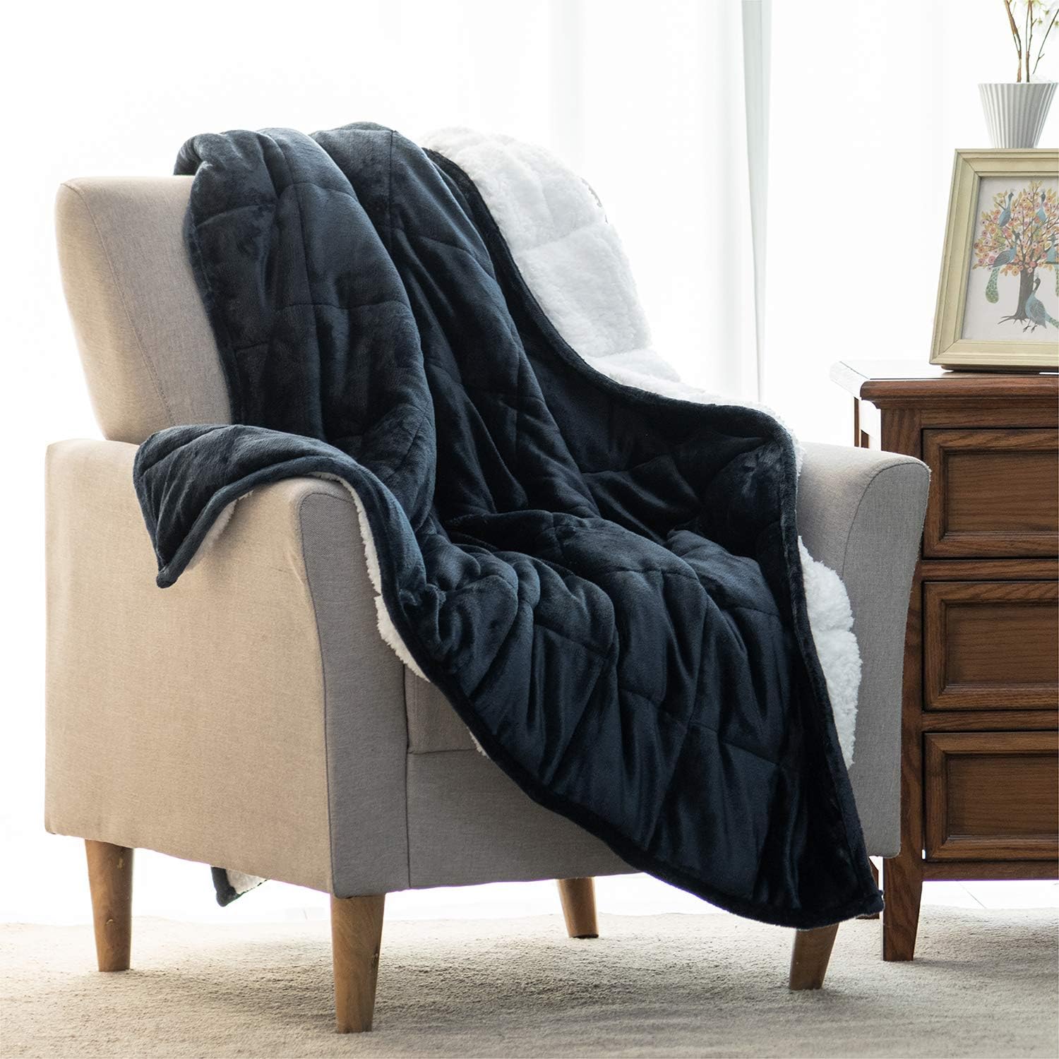 BUZIO Sherpa Fleece Weighted Blanket for Kids and Adults, 5.5kg Heavy