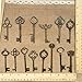 N'joy Vintage Skeleton Keys, Mixed Steampunk Keys, Extra Large (26PCS L26B-Antique Bronze)