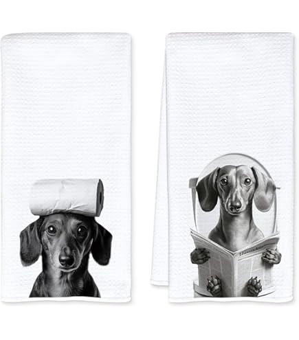 Tapis De Bain Antidérapant 50x80 Cm, Microfibre Douce Et Absorbante Lavable En Machine Pour Salle De Bain Gris Pale 95985042