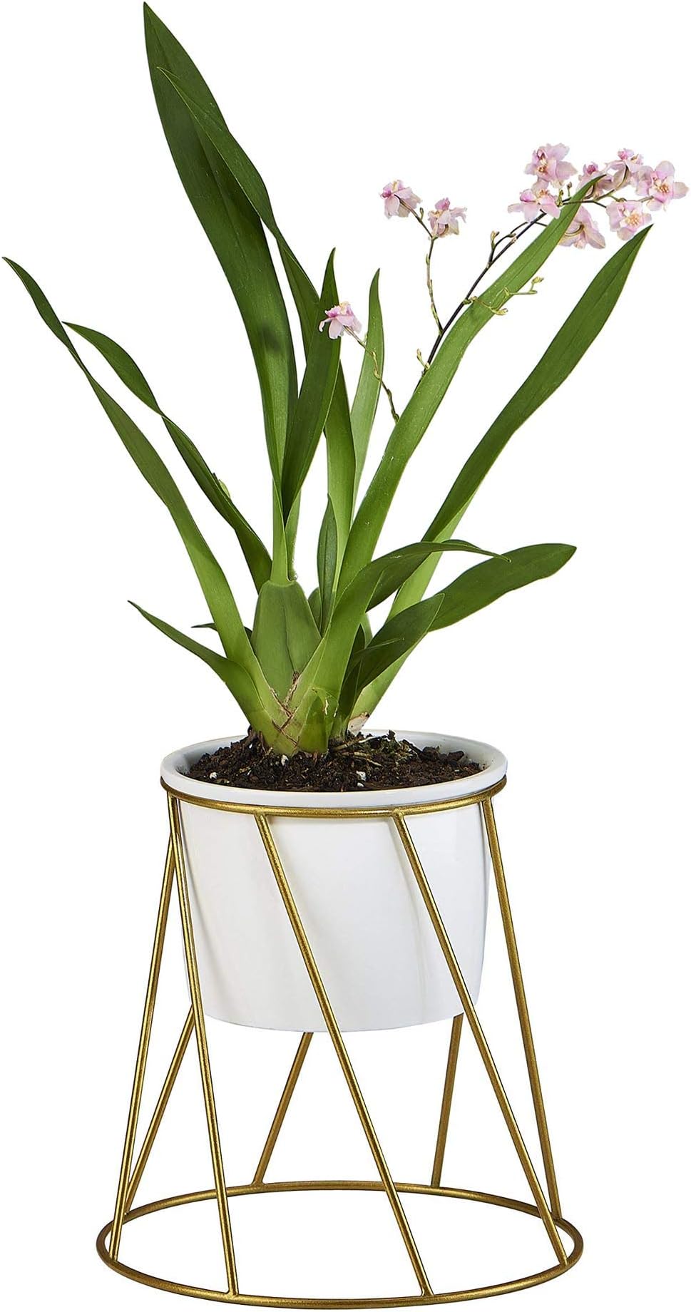 FLOWERPLUS Planter Pot Indoor, 4.33 Inch White Ceramic Medium Succulent Cactus Flower Plant Round Bowl with Metal Stand Holder and Plants Sign for Indoors Outdoor Home Garden Kitchen Decor (Golden)