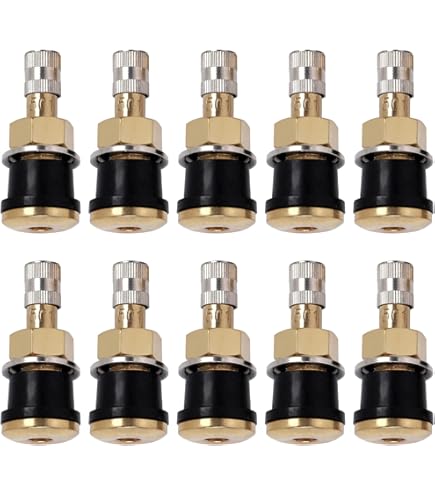 TR542 1.25" Truck Aluminum Wheel Valve Stem for 9.7mm Valve Hole Pack