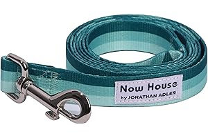 NOW HOUSE BY JONATHAN ADLER Now House for Pets by Jonathan Adler Now House Green Chroma Standard Lead 6' | Stylish and Functional Way to Keep Your Dog Looking Great | Cute and Adorable Dog Accessories for Pets, Chromatic