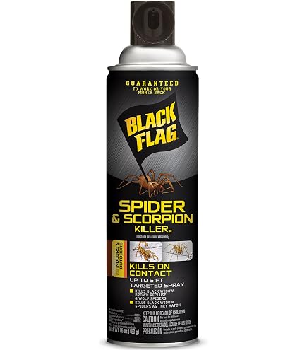Amazon.com: Black Flag Hg-11027 Spider And Scorpion Killer Aerosol