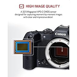 Canon EOS R7 Mirrorless Camera (Body Only), Hybrid