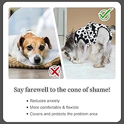 V.PET.B.R Dog Surgery Recovery Suit,Female Male Dog