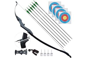 D&Q Archery Bow and Arrow Set for Adults Beginner Teenagers Youth, Takedown Recurve Bow 20lbs 30lbs 40lbs Left and Right Handed Bow, Recurve Bow Set for Outdoor Target Practice