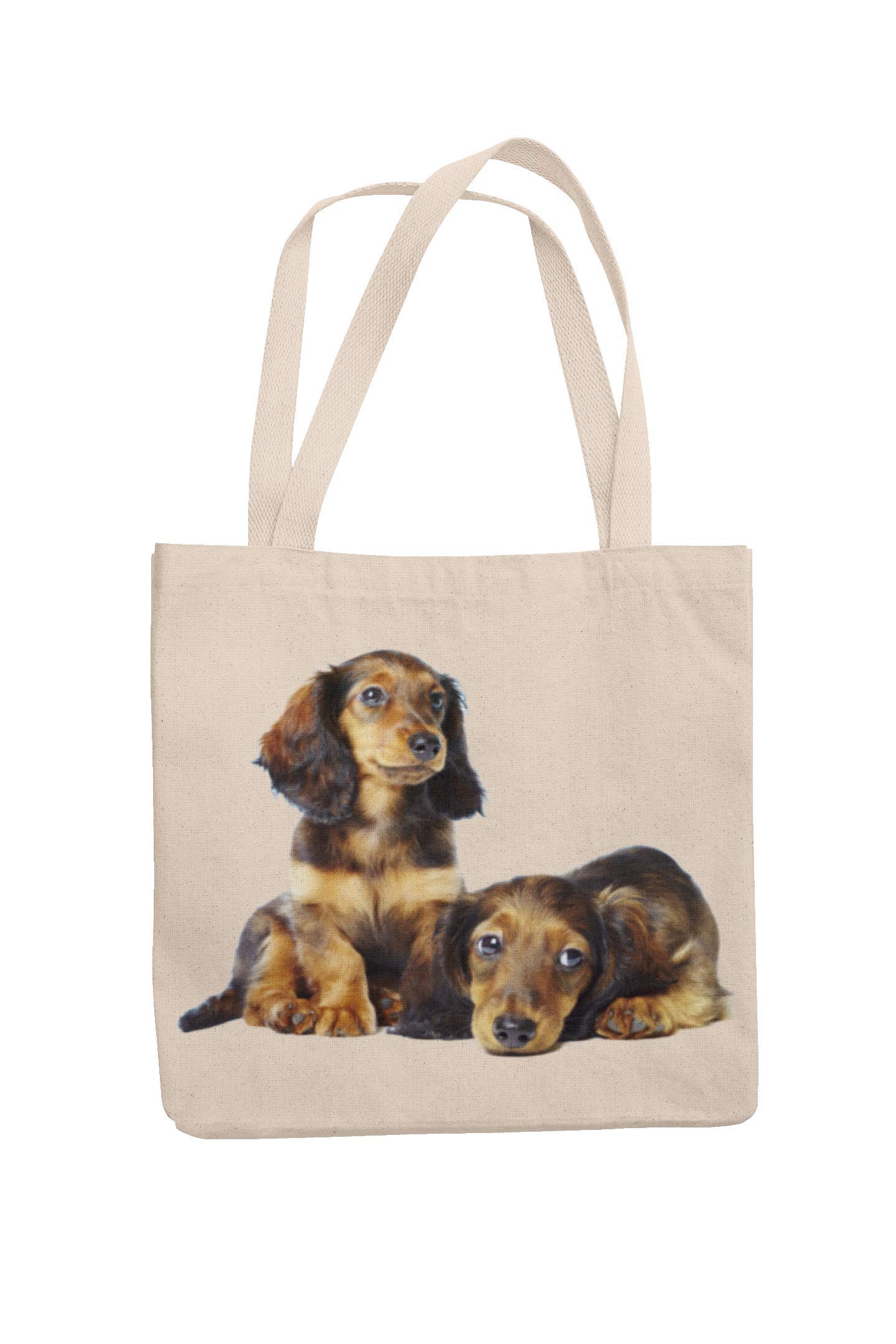 Super Lemon Dachshund Hound Tote Reuseable Shopping Bag Novelty Present Gift Printed Eco-Friendly Stylish Long Handled Tote Shoulder Bag, Great Gift Or Present for Any Dog Lover…