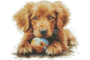Awesocrafts Cross Stitch Stamped Kits Golden Retriever Puppy with Ball Easy Patterns Cross Stitching Embroidery Needlework Ki