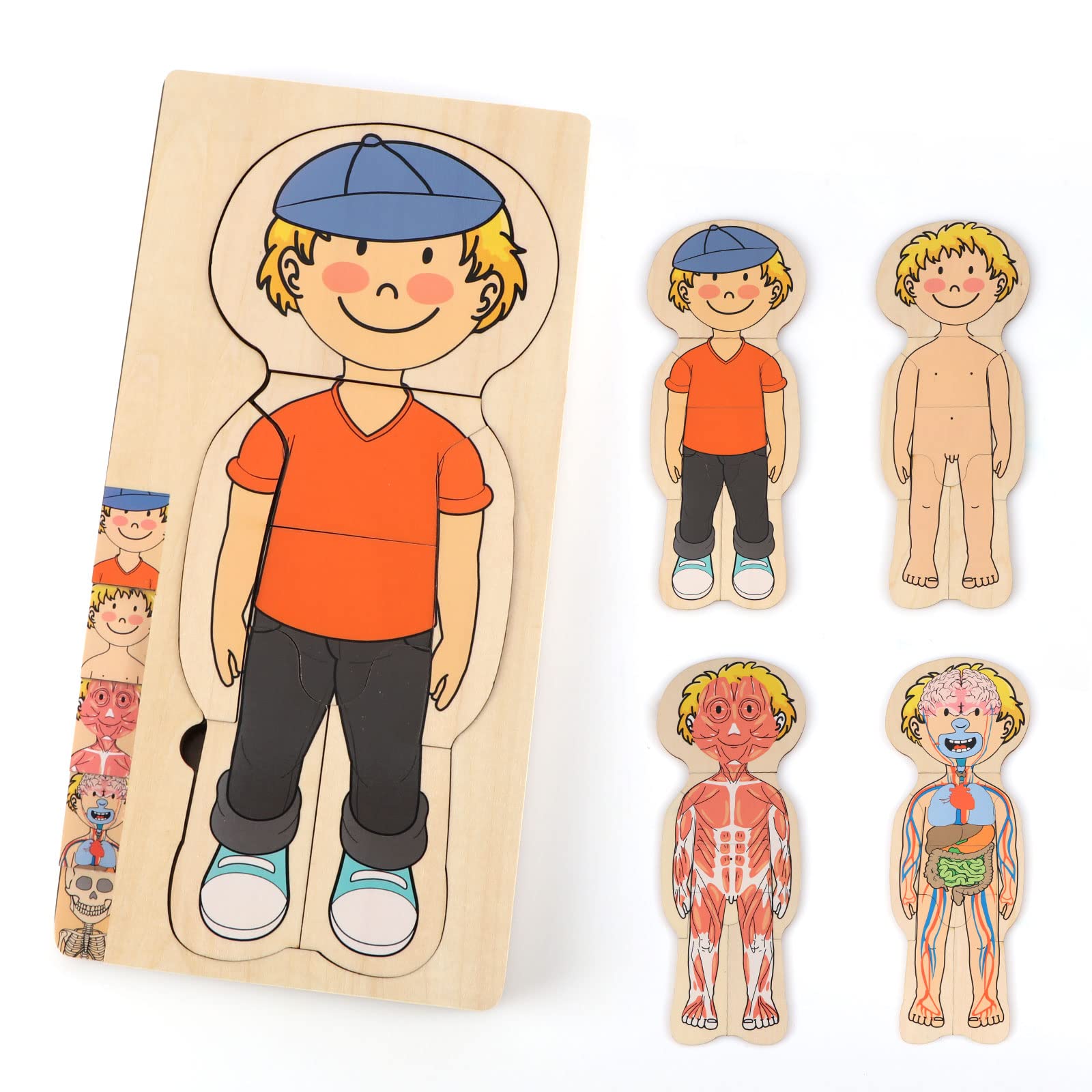 KABENFIS 29 Piece Boys Human Body Puzzle for Kids Boys and Girls
