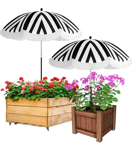 Amazon.com : Abbylike Plant Umbrella Garden, Stripe, Black and