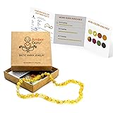 Amber Guru Baltic Amber Necklace