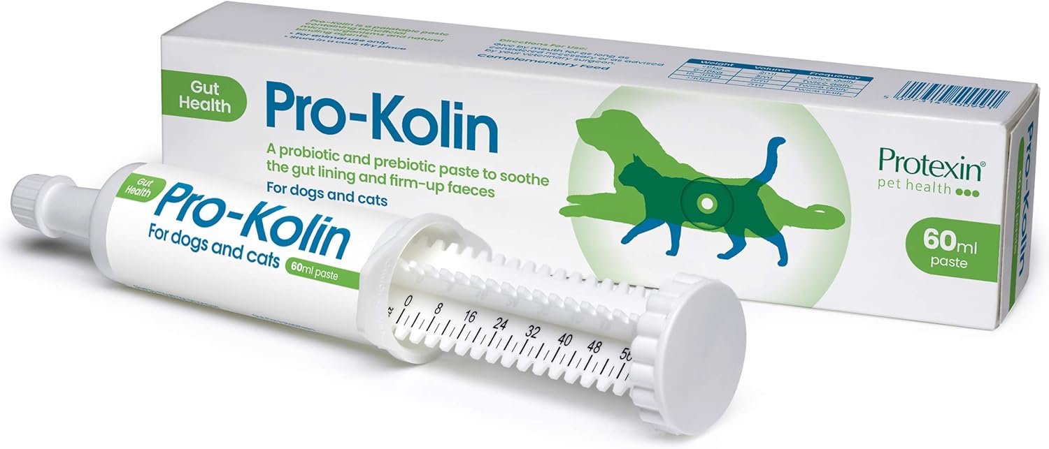 ProKolin for Dogs and Cats Probiotic Paste and Syringe, 60ml Amazon.co.uk Pet Supplies