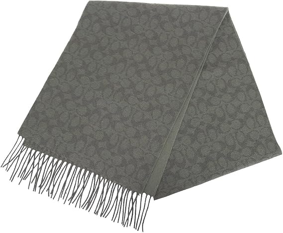 フェードアウト 全能 疑い者 Coach マフラー メンズ I Vis Jp