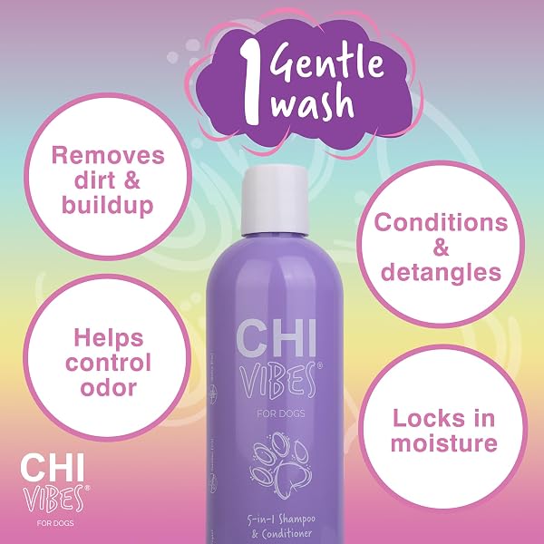 CHI VIBES FOR DOGS 5-IN-1 SHAMPOO & CONDITIONER, CLEANS + DEODORIZES + MOISTURIZES + DETANGLES + HELPS DE-SHED, VEGAN PH BALANCED, GLUTEN & PARABEN FREE, MADE IN USA, 12 FL OZ