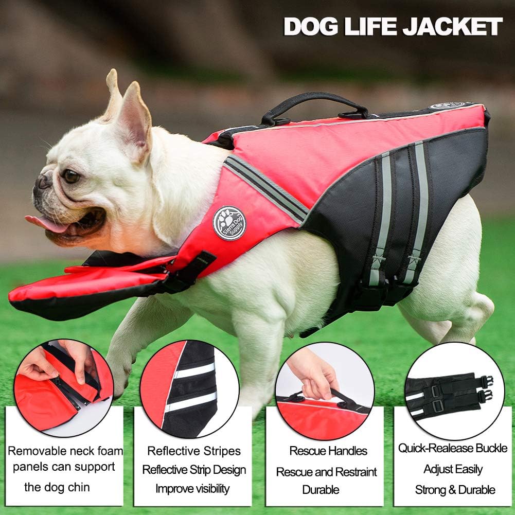 french bulldog life jacket amazon