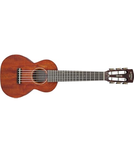 Amazon.com: Custom Built Eclipse Series All Solid 8-String
