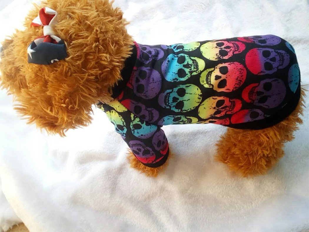 Hillento Puppy Clothes, Halloween Small Dog Cat Pet Clothes Colorful Skull Ghost Sweater Halloween Apparel