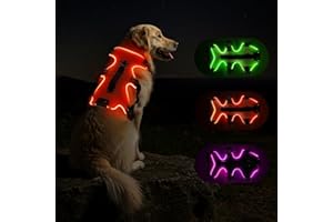 Fiveda Light Up Dog Harness LED Dog Vest - USB-C Rechargeable RGB 9-LED, Slow/Fast Rainbow Modes, Reflective No-Pull Harness with Dual D-Rings & Handle for Small to XL Dogs (Orange, L)