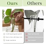 Glasseam Propagation Station 3 Pcs Glass Vase with Wooden Stand view 4