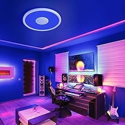LED Ceiling Light Fixture with Bluetooth