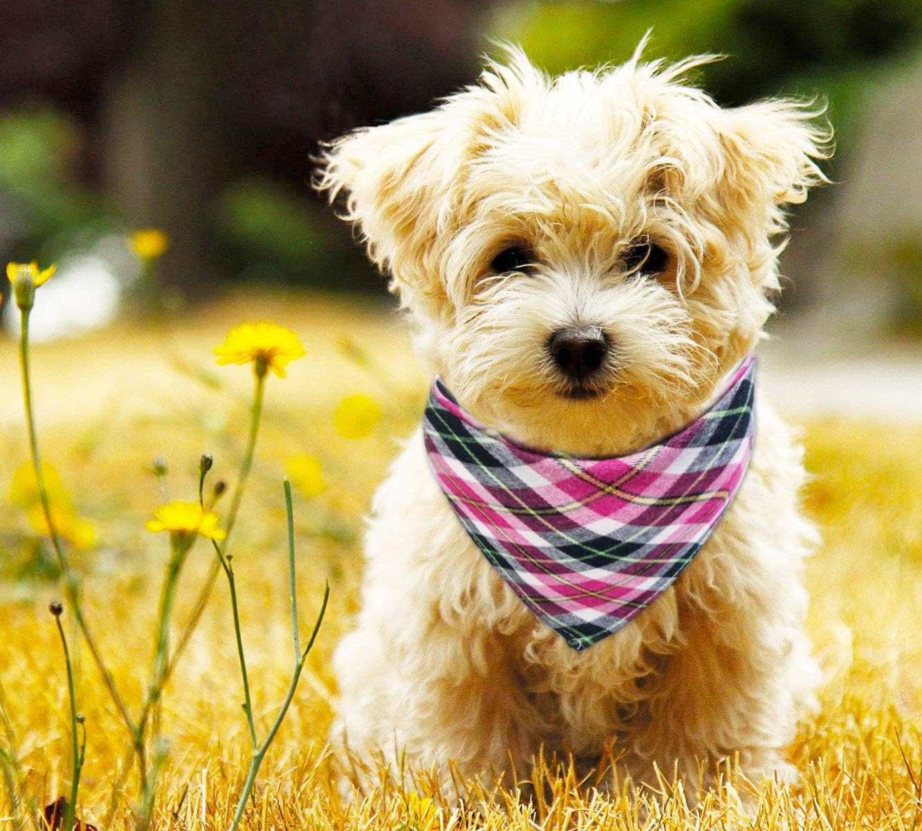 6 Pack of Dog Bandana Washable Reversible Triangle Bibs Scarf, Plaid Painting Kerchief for Small/Medium Dogs and Cats : Pet Supplies