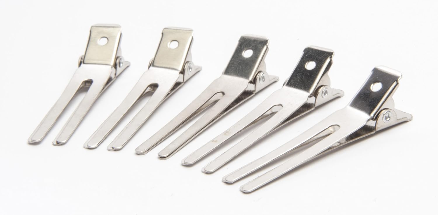 Diane Double Prong Clips 80 Clips, Silver, Pack of 80 (D17) : Hair Clips : Beauty