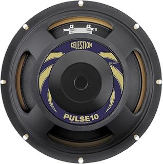 10 inch bass amp speaker