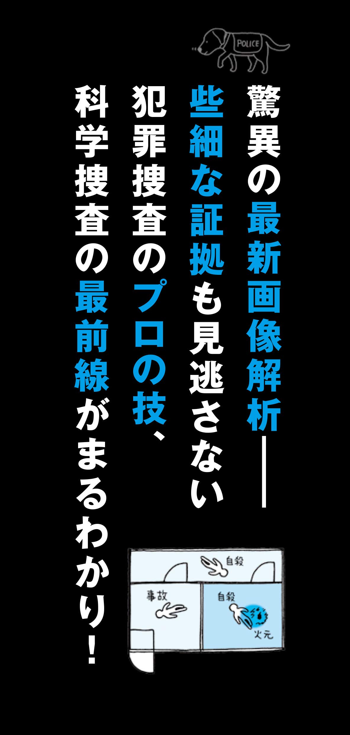 amazon com