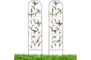 LEWIS&WAYNE 2 Pack Metal Garden Trellis with Colorful Dragonfly 60 Inch High Outdoor Decoration Arched Fence Trellis for Climbing Plants for Patio, Lawn, Yard, Backyard, Wall Brackets