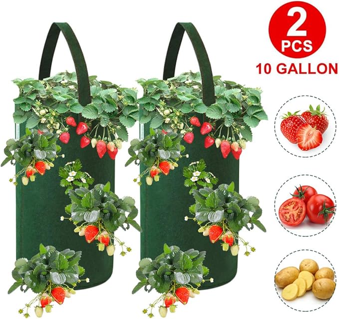 FALUCKYY Strawberry Planter Bags, 2 Pack 10 Gallon Hanging Strawberry