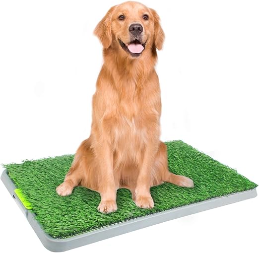 grass pee mat